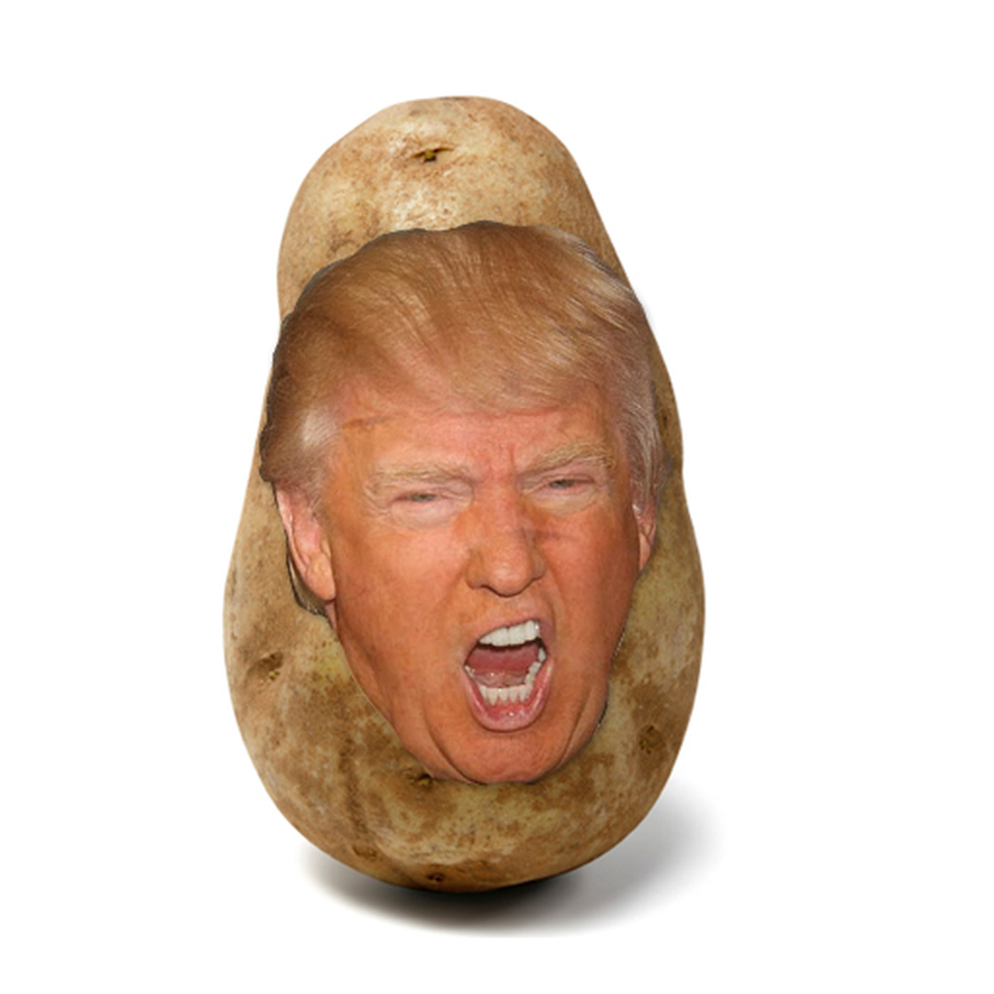 Potato_Trump.jpg