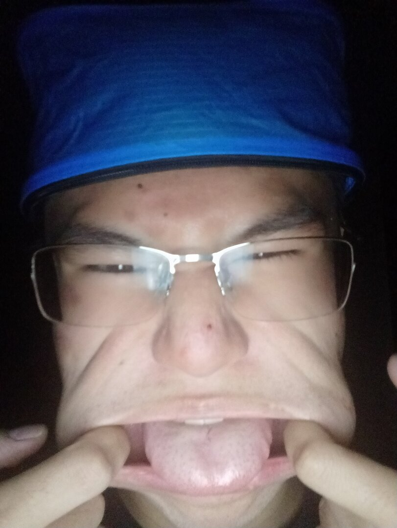ricecel2.png