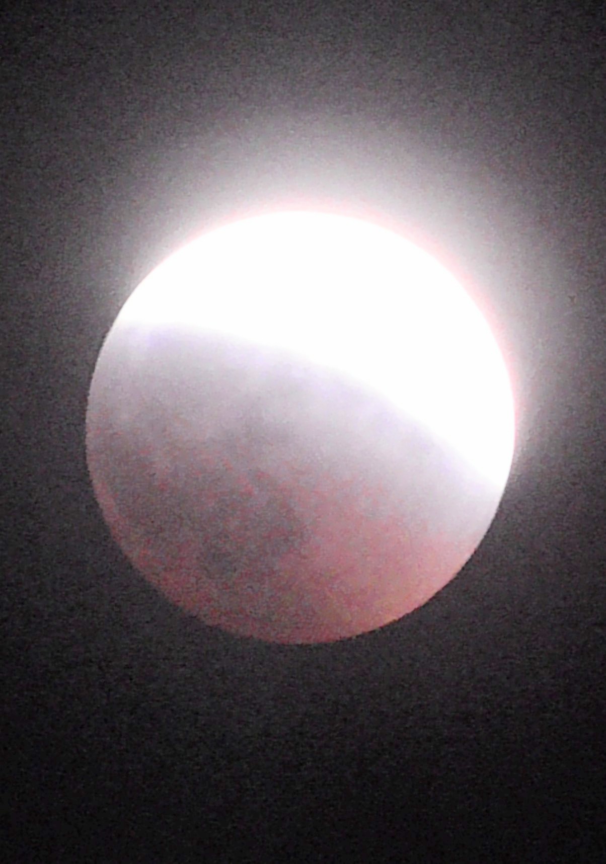 S4180023_011452~3.JPG