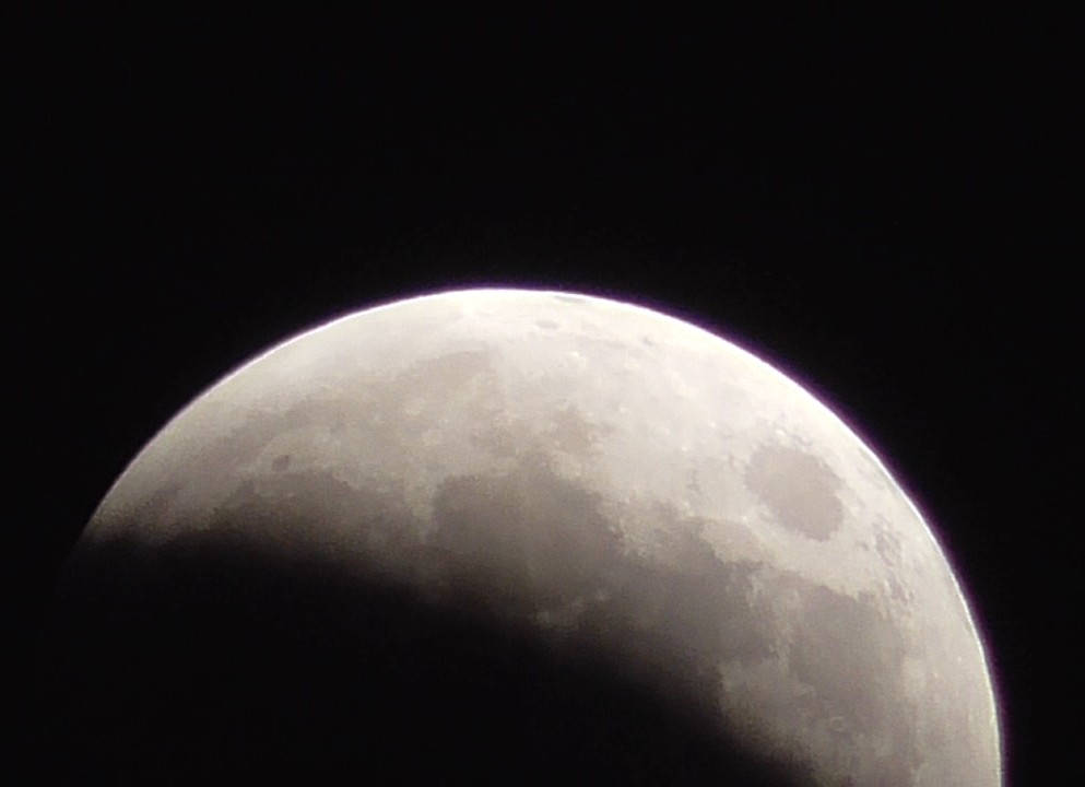 S4190011_012100_exported_54421 (1).jpg