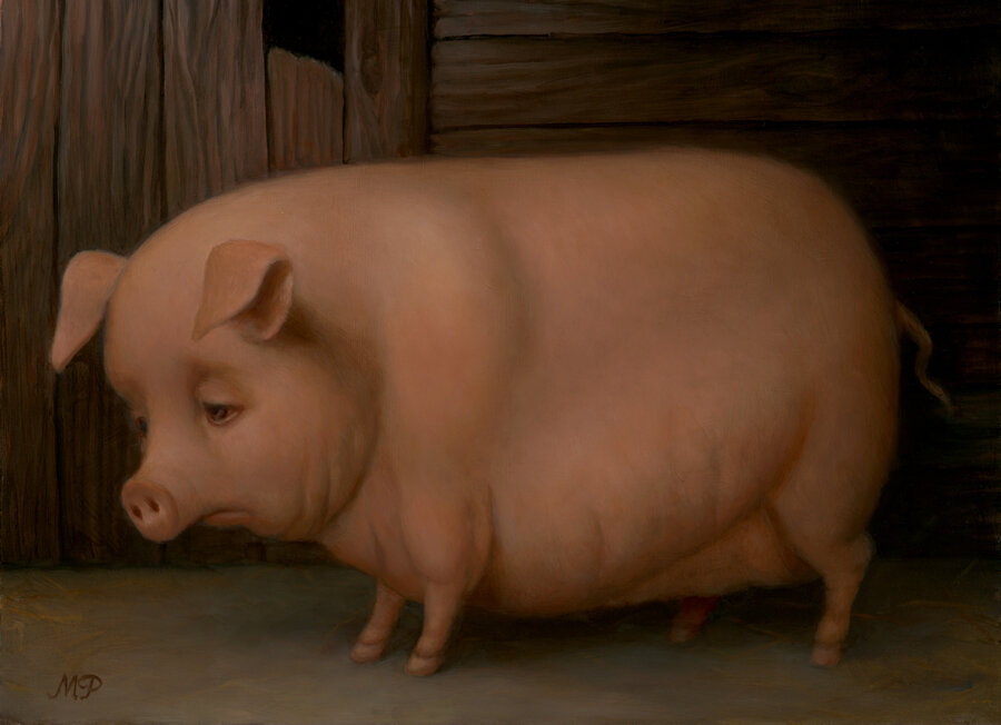 Sad+Pig.jpeg
