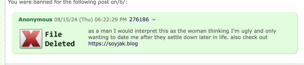 Screenshot 2024-08-15 at 1.34.32 PM.png