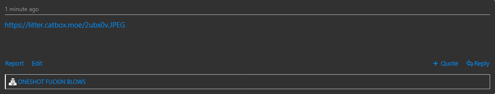 Screenshot 2024-12-01 at 21-17-18 Mi cock soyjak.blog.png