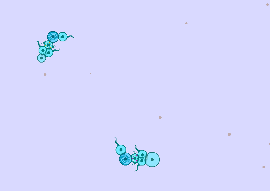 Screenshot 2025-02-12 9.20.18 PM.png