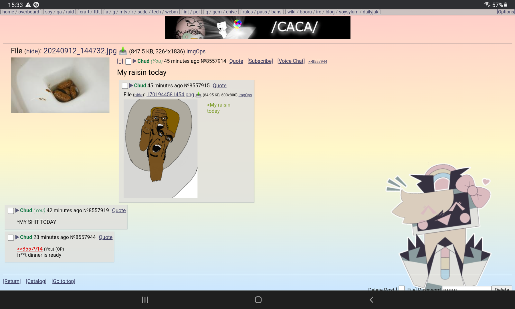 Screenshot_20240912-153324_Chrome.png