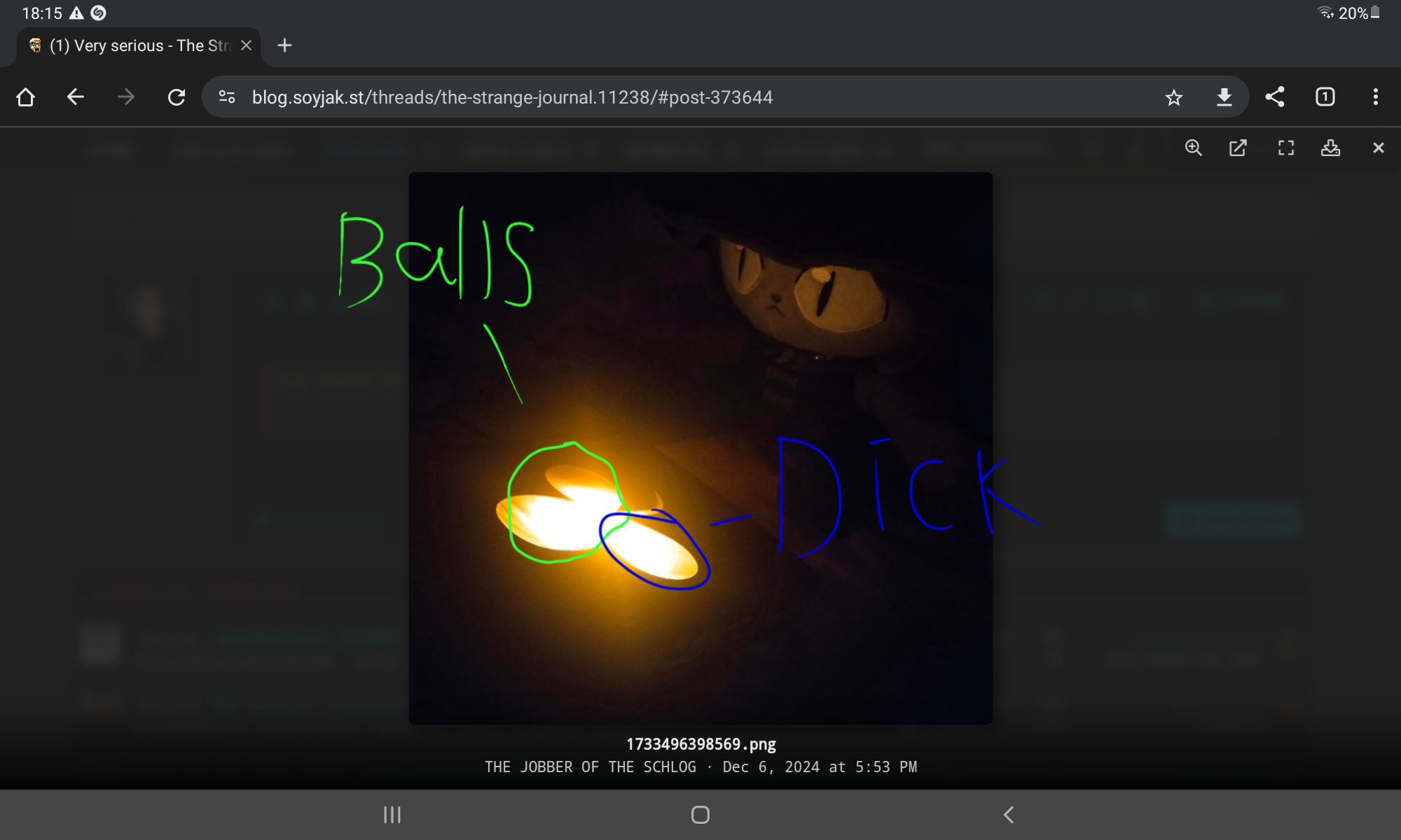 Screenshot_20241206-181516_Chrome.png