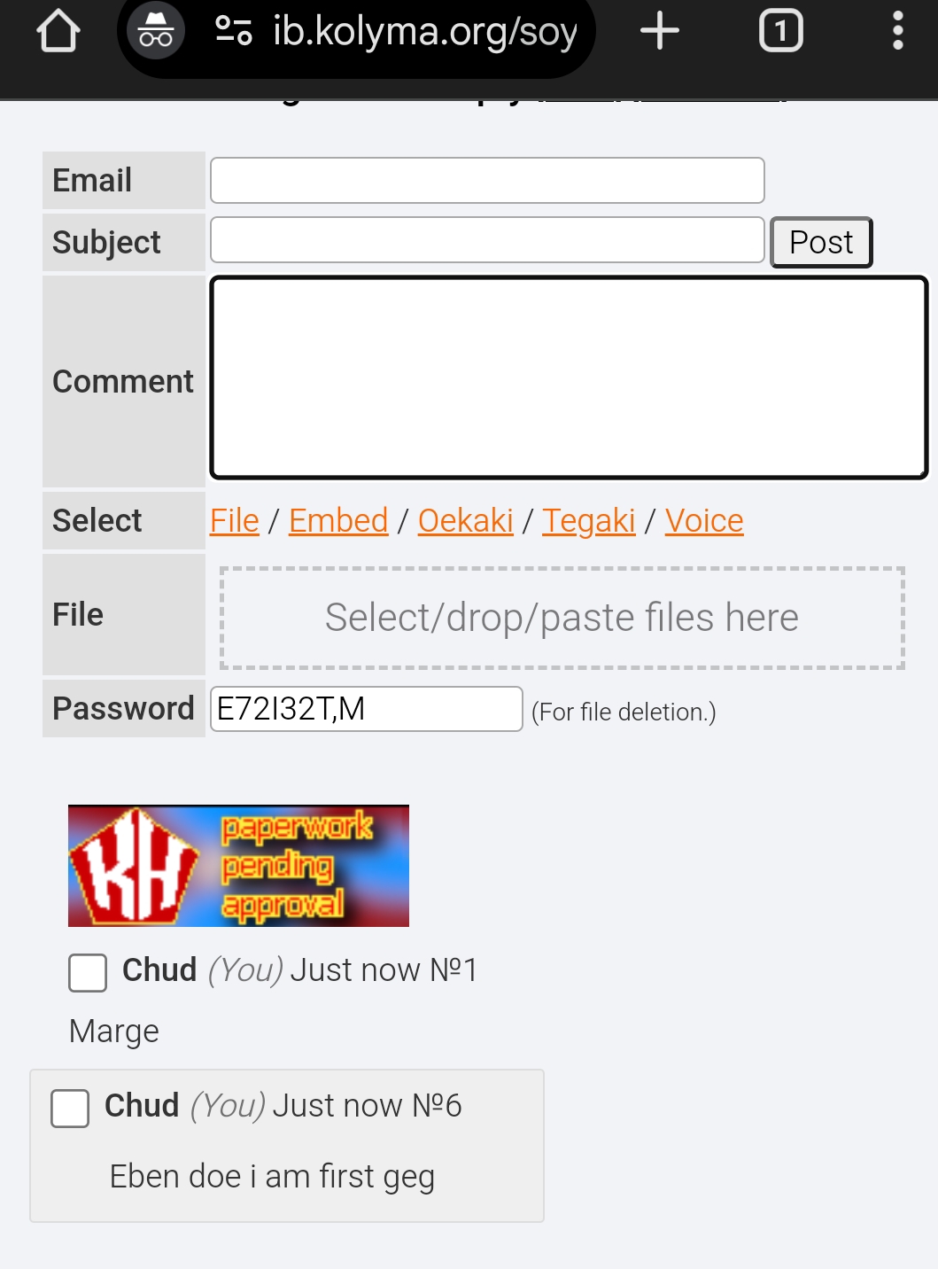 Screenshot_2025-04-01-12-55-41-925_com.android.chrome-edit.jpg