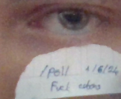 SFAW fake reveal.png