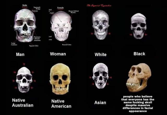 skull-meme-v0-h9k7kkhm0vc81 (1).jpg