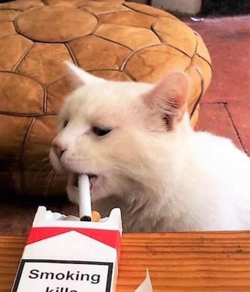 smoking kills.jpg