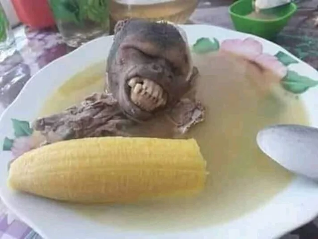 sopa-de-macaco-v0-hmbqsloe8a3a1.png