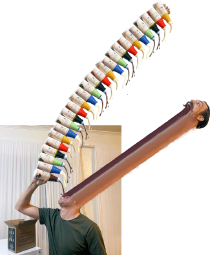 soy (31).png