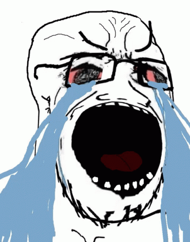 soyjak-crying.gif