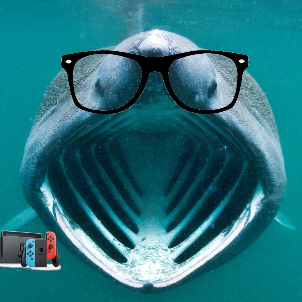 soyshark.jpg
