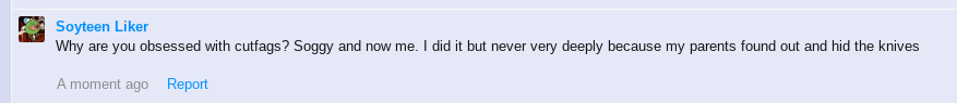 Soyteen liker is a cutter.png