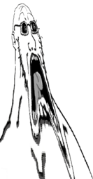 Stretched_Doctos.png
