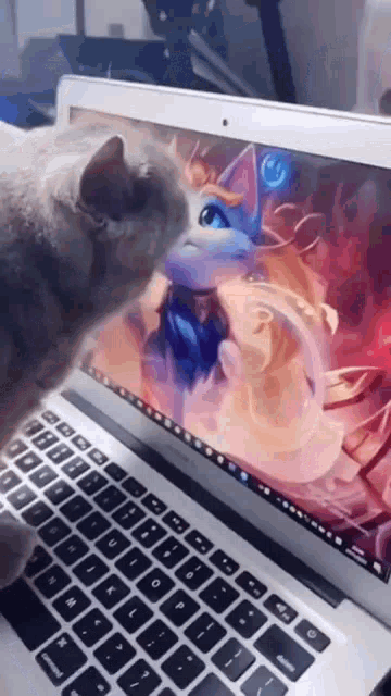 this cat is simping.gif