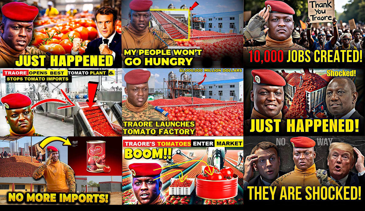 tomatos.png