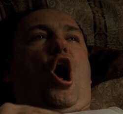 Tony_Soprano.jpg