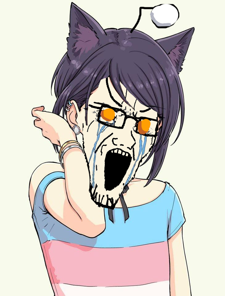 tranny09.png