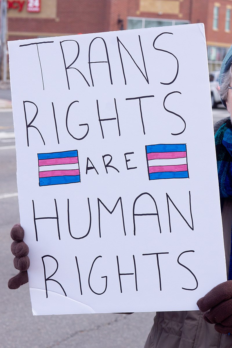 Trans_Rights_are_Human_Rights_(31956895847).jpg
