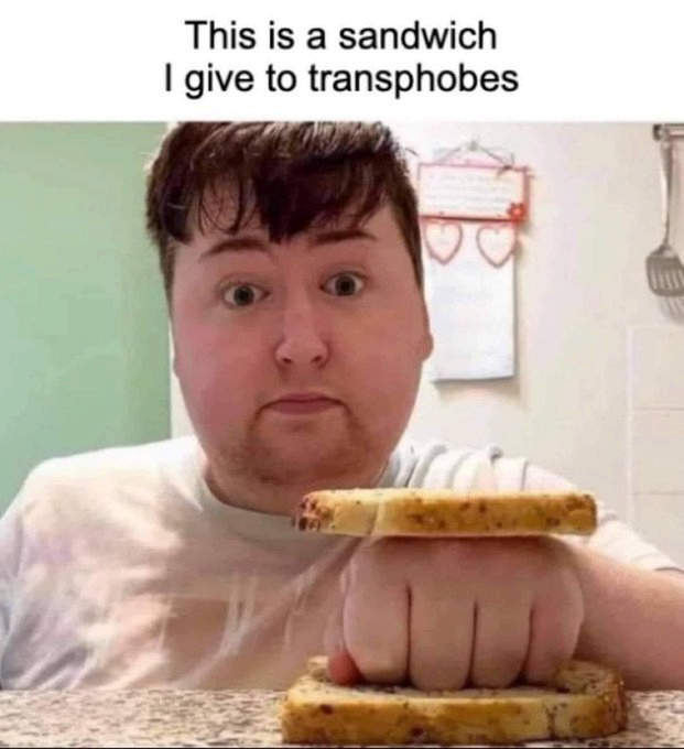 transphobesBTFO.png