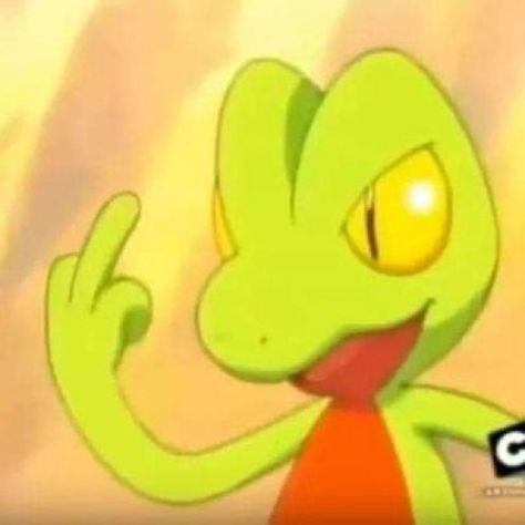 treeko middle finger.jpg