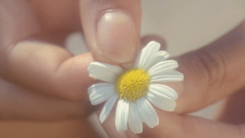 tumblr_543237289daafcb35d8a65a677019eb9_e70215fc_500.gif