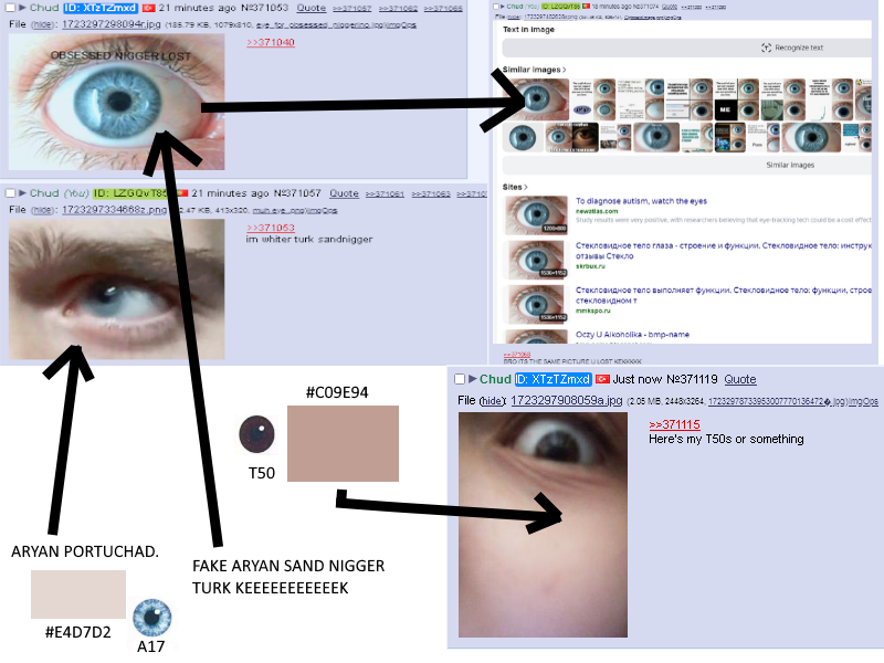 Turkroach_exposed_as_shitskin.png