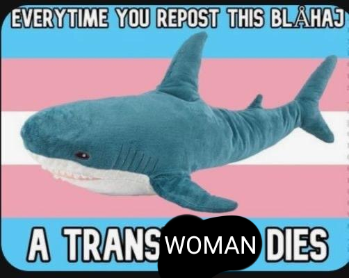 Untitled20_20250624195253.png