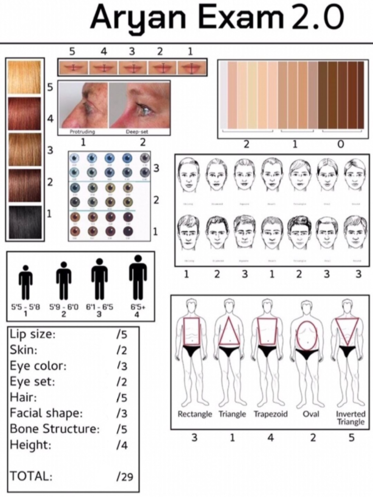 Untitled380_20240711132010.png