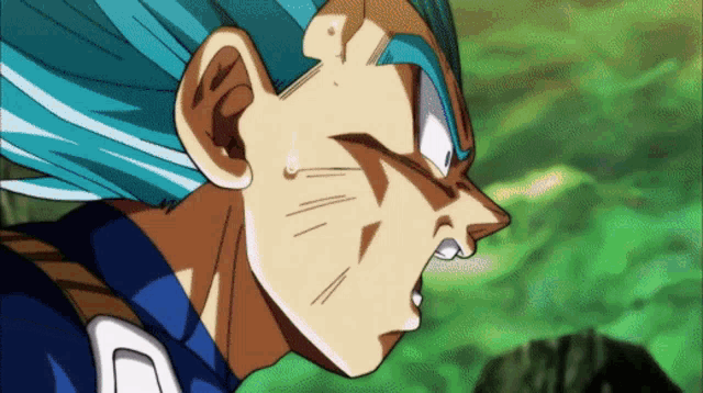 vegeta-dragon-ball-super.gif