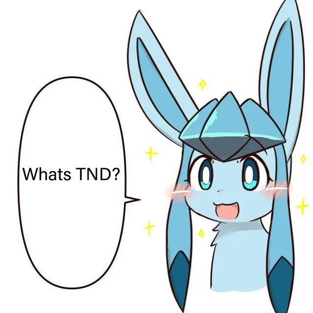 whats TND.jpg