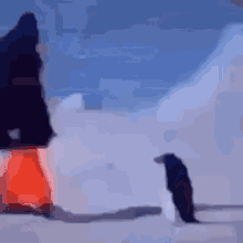 yeojinvevo-penguin-missile.gif