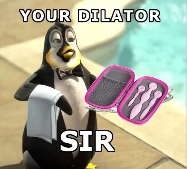 your dilator SIR.png
