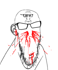 1733135490358d.png
