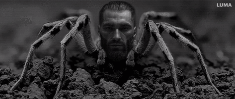 gigarantula.gif