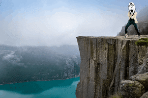 IMG_0541.GIF