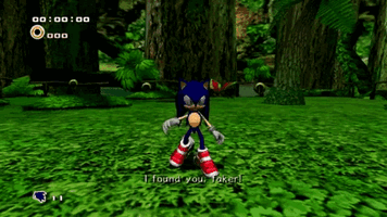 faker-sonic-adventure.gif