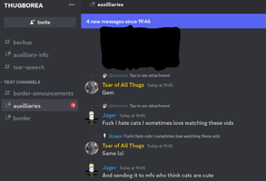 Screenshot_20240529-194755_Discord.png