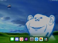 137C1D28-79F1-4551-A09C-33DF500CB07F.jpeg