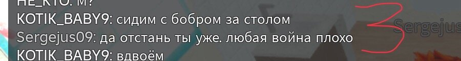 IMG_7662.jpeg