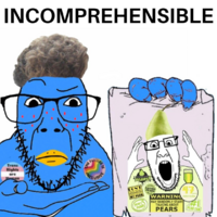 IMG_1226.png