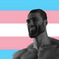 1736363657541.png
