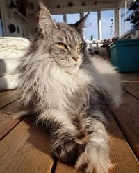 IMG_3781.jpeg