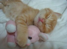 IMG_3789.jpeg
