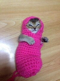 IMG_3791.jpeg