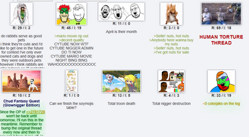soy 4.8.2023.png