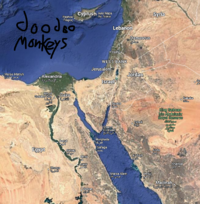 1736819708393.png
