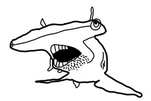 soyhead.jpg